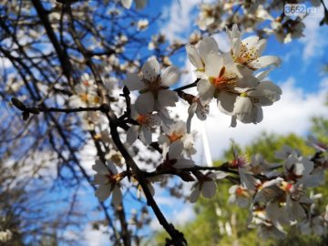 Яке свято 20 травня і чого не можна робити у цей день