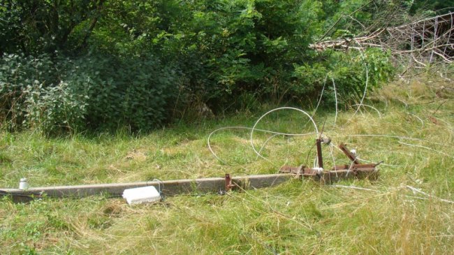 Повалені дерева, пошкоджений будинок і зупинка: у районі на Волині буревій наробив лиха. ФОТО