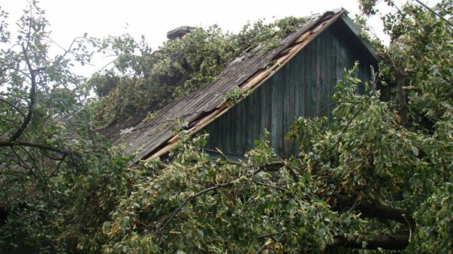 Повалені дерева, пошкоджений будинок і зупинка: у районі на Волині буревій наробив лиха. ФОТО