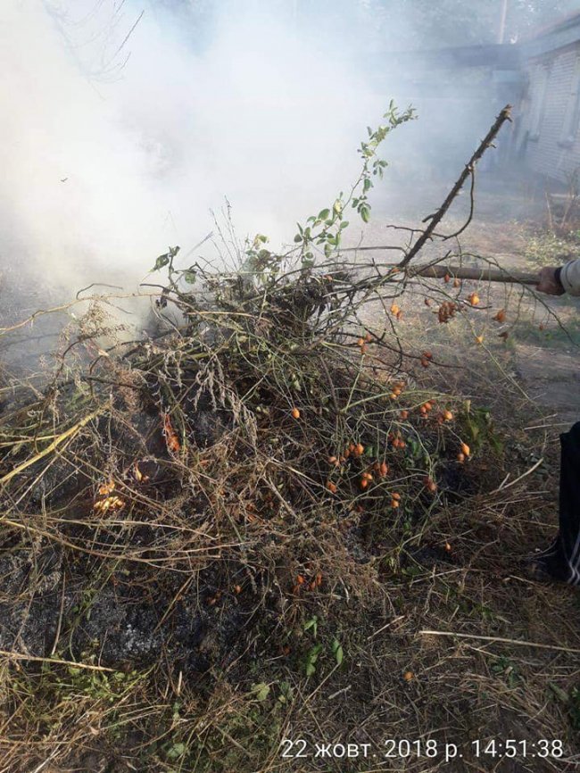 Муніципали покарали лучан, які палили листя. ФОТО