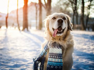Погода у Луцьку та Волинській області на завтра, 9 лютого
