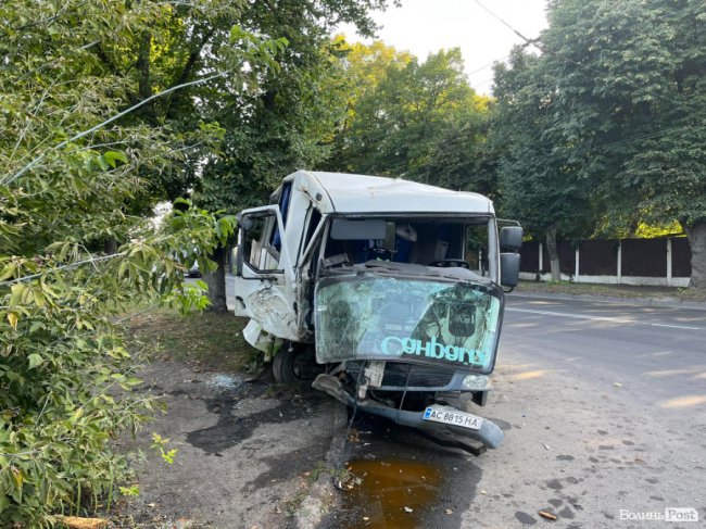 У Луцьку на Львівській автобус в'їхав у дерево: травмувались 4 пасажири