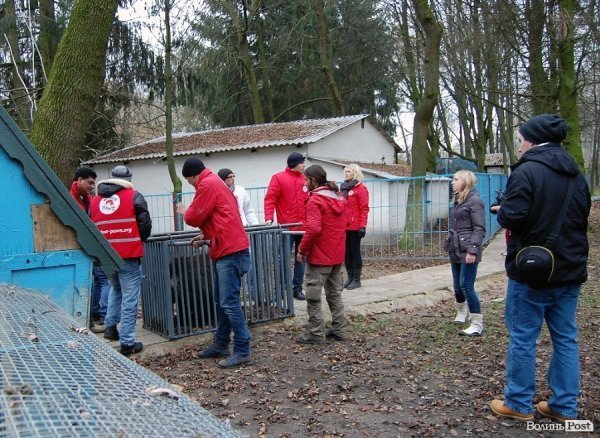 Іноземці забрали ведмежа із луцького зоопарку. ФОТО. ВІДЕО