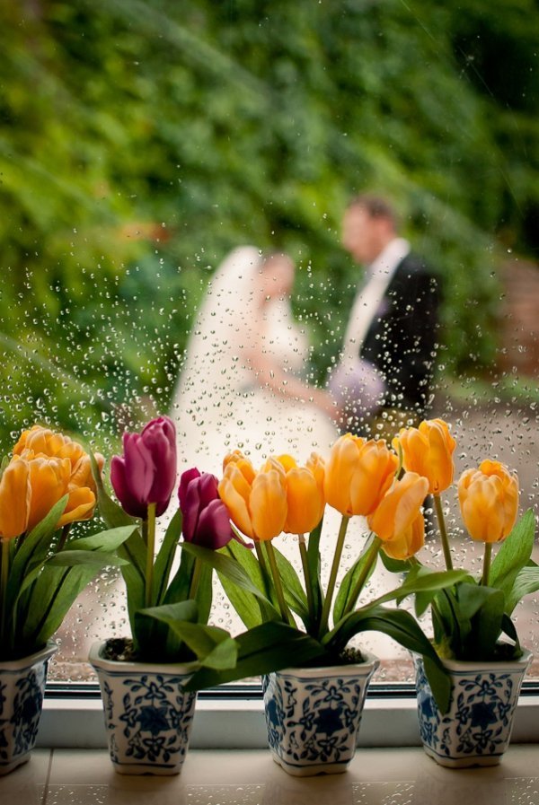 Фотовиставка Василя Шевчука