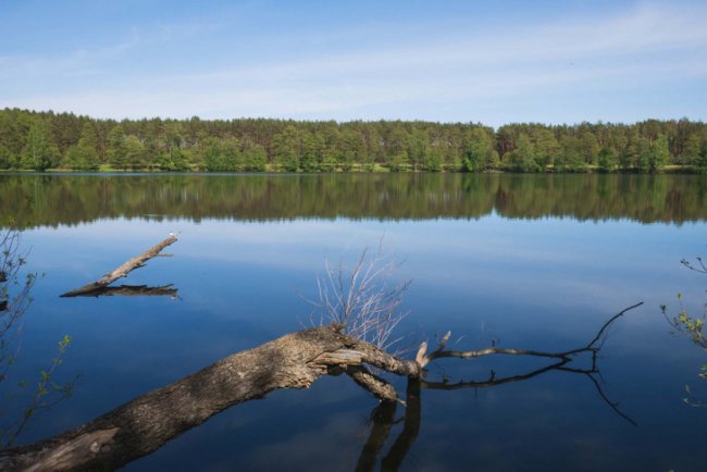 Краса, яка захоплює душу: дивовижні краєвиди Волині. ФОТО