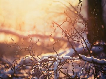 Погода у Луцьку та Волинській області на завтра, 3 січня