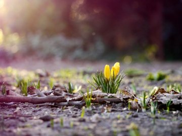 2 березня – яке сьогодні свято і чого категорично робити не можна