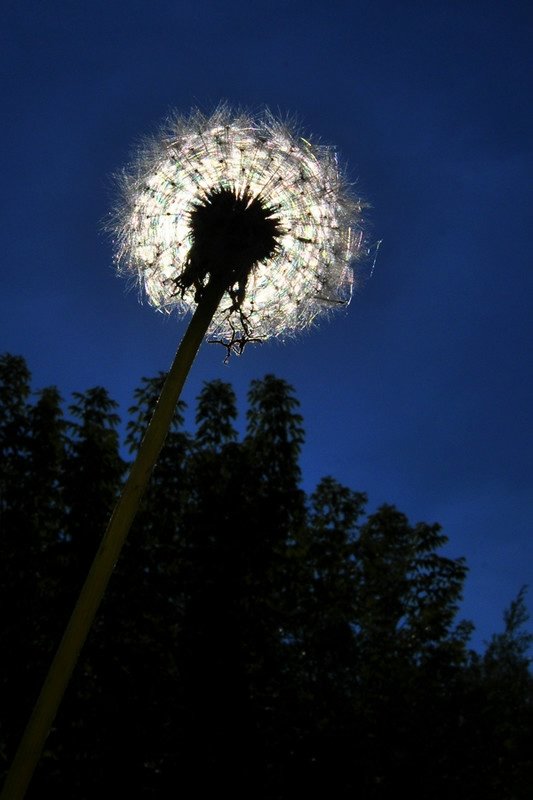 Фотовиставка Костянтина Барана