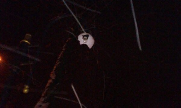 Вандали пройшлися центром Нововолинська: побили ліхтарі, повалили щит