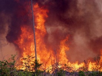 За добу на Волині - 16 пожеж, 10 з яких через спалювання сухої трави