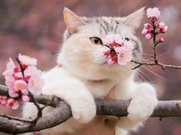 Погода в Луцьку та Волинській області на середу, 18 березня