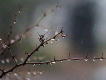 Погода у Луцьку та Волинській області на завтра, 18 лютого
