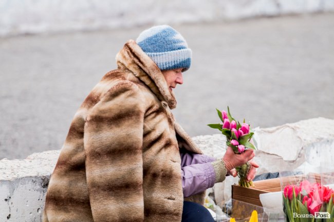 За день до свята: Луцьк накрила тюльпанова лихоманка. ФОТО