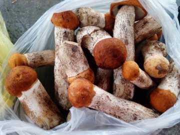 Від і до: скільки коштують гриби на луцькому ринку. ФОТО