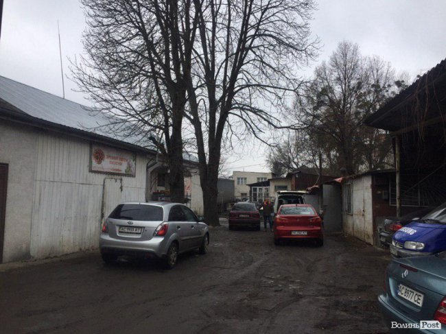 Де у Луцьку недорого купити квіти до свята. АДРЕСИ. ФОТО