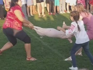 Нечувана жорстокість: в селі під Луцьком на святкуванні ледве не роздерли двох поросят. ВІДЕО 18+