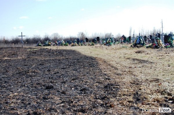 Яблуневий сад під Луцьком «вижив» після масштабної пожежі