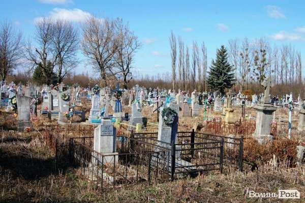 Яблуневий сад під Луцьком «вижив» після масштабної пожежі