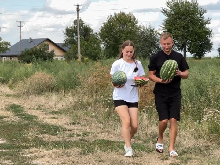 «Головний дегустатор — донька»: як подружжя на Волині вирощує кавуни
