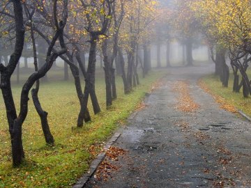 Якою буде погода на Волині в неділю, 8 листопада