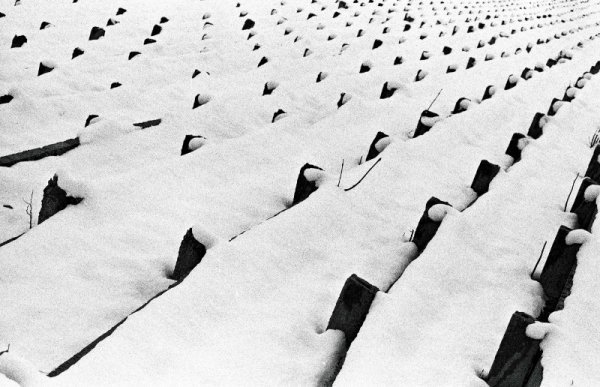 Фотовиставка Віктора Голікова