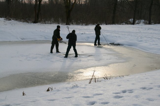 Показали, як у луцькому парку рятують рибу від загибелі. ФОТО