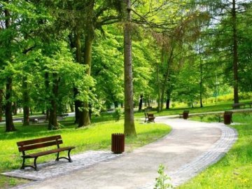 У Луцьку пропонують зберегти унікальний сквер, який можуть забудувати