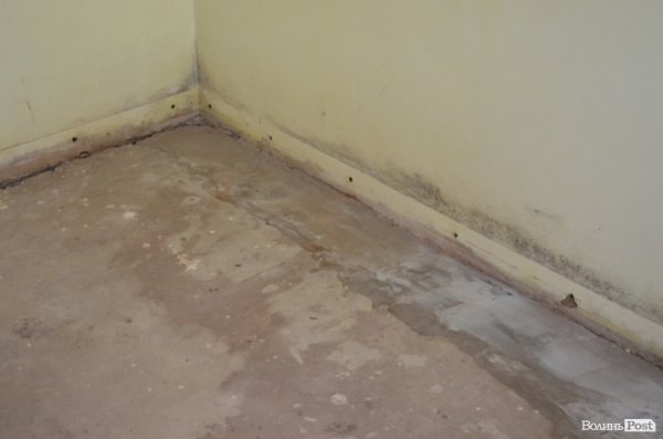 Наслідки зливи у Луцьку: у підвалах досі стоїть вода. ФОТО