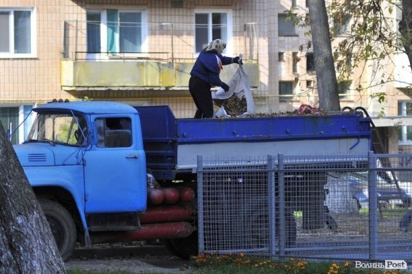 Люди, які прибирають луцькі вулиці. ФОТО