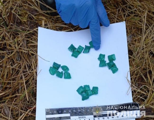 На Волині у лісопосадці затримали чоловіка з 20 згортками наркотиків. ФОТО