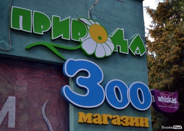 Місто, яке я люблю. Луцькі вивіски