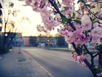 Погода в Луцьку та Волинській області на четвер, 30 квітня