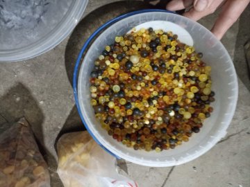 У трьох волинян вилучили понад тридцять кілограмів бурштину. ФОТО