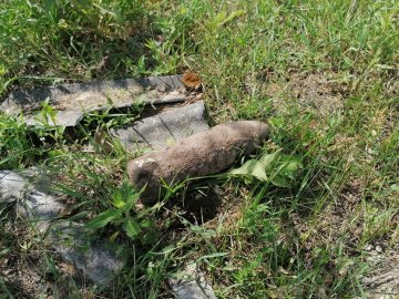 Волинянин на власному подвір'ї знайшов артснаряд