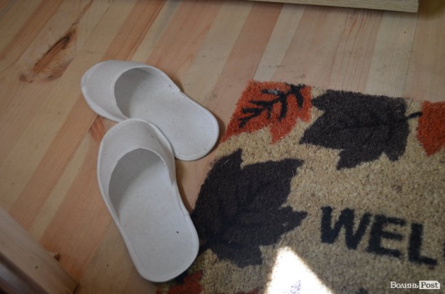 Експрес-подорож областю: на Волині – лісівники з усієї країни. ФОТО