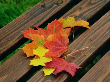 Погода у Луцьку та Волинській області на суботу, 14 листопада