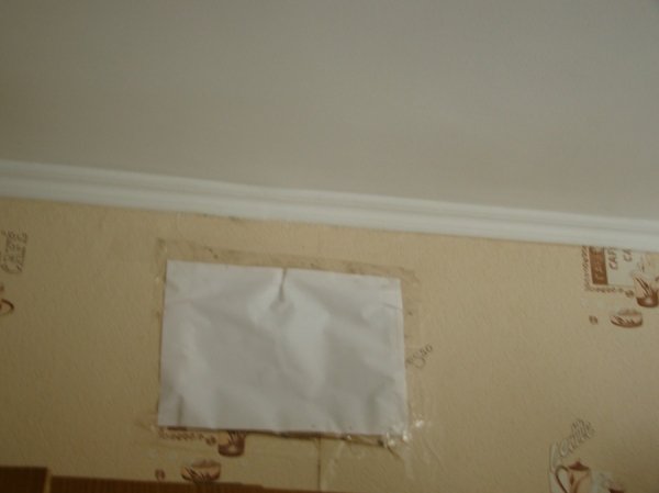 Лучанка скаржиться на свавілля сусіда