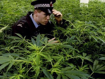 Шпизі віддали боротьбу із наркотиками