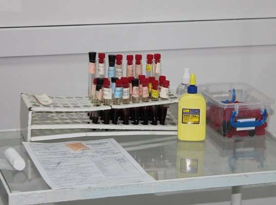 Автоінспектори Волині здали майже 25 літрів крові. ФОТО