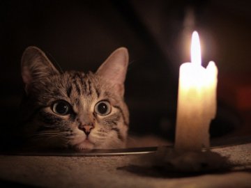 Де на Волині не буде світла 7 червня. ПЕРЕЛІК АДРЕС