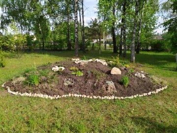 У селі Світязь вчителька хімії створює дендропарк. ФОТО