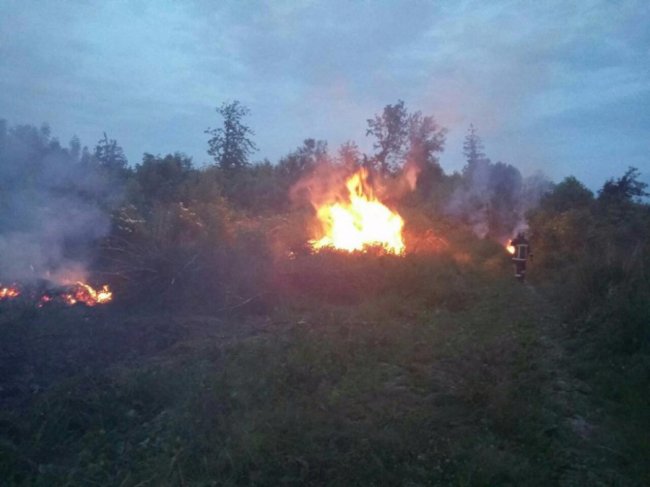 У центральному парку Луцька - пожежа