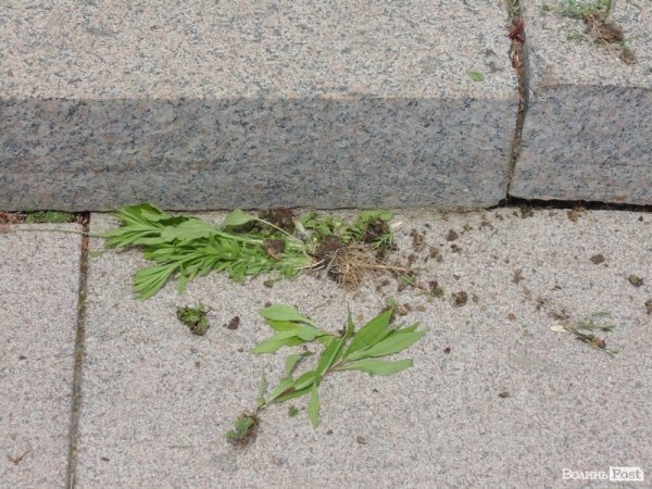 До приїзду Філарета планують прибрати центр Луцька. ФОТО