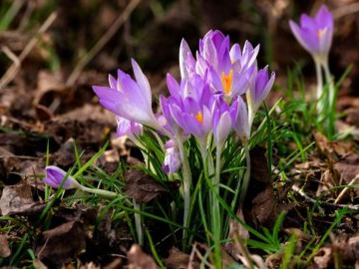 Якою буде погода у Луцьку та на Волині 30 березня