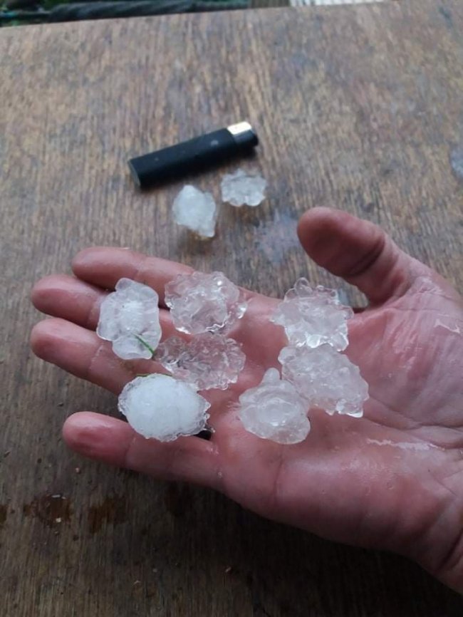 Zanna Thetverikova (Луцьк)