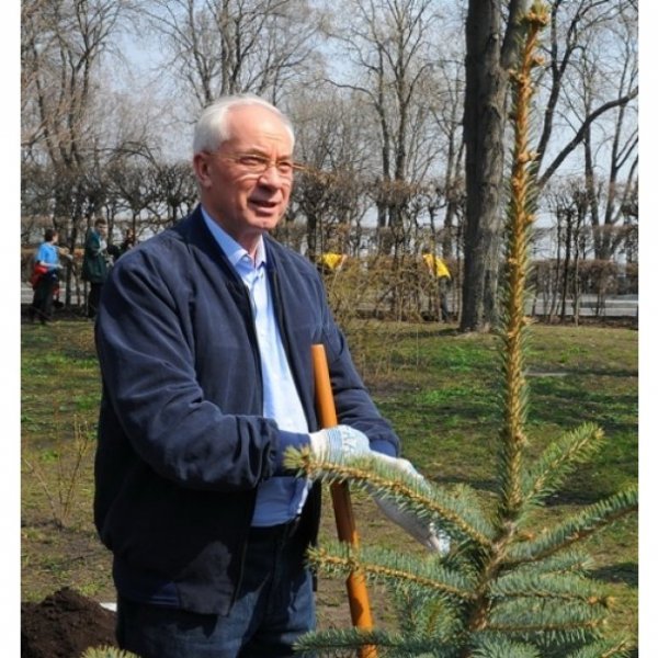 Азаров теж садив ялинки. ФОТО