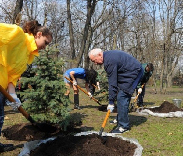 Азаров теж садив ялинки. ФОТО