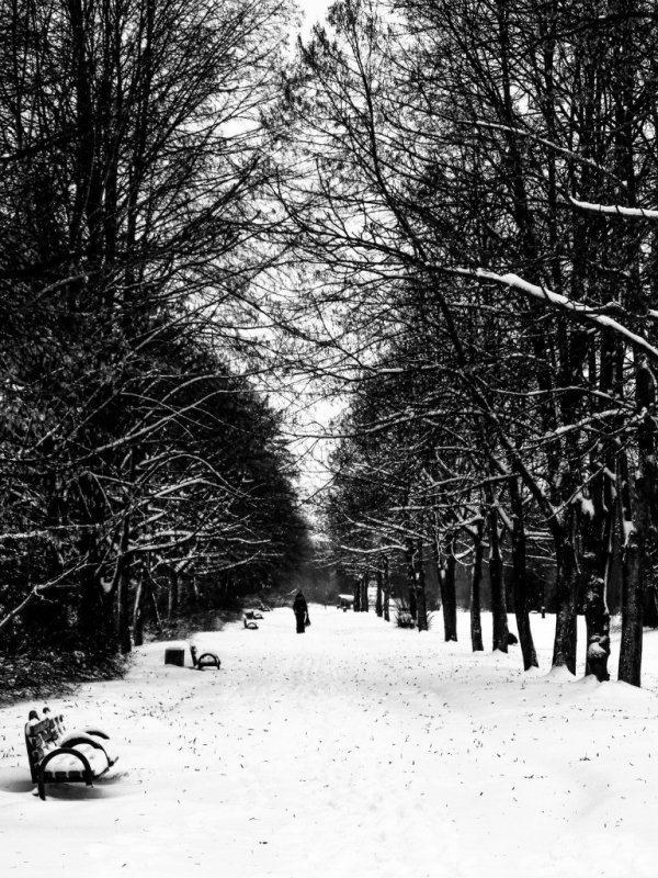 Фотовиставка Тараса Маркіна