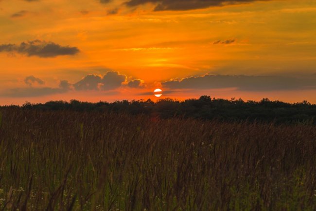 Літній вечір на Волині. ФОТО