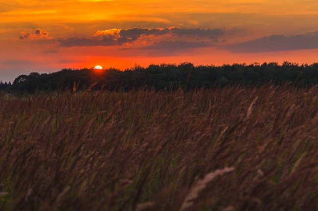 Літній вечір на Волині. ФОТО